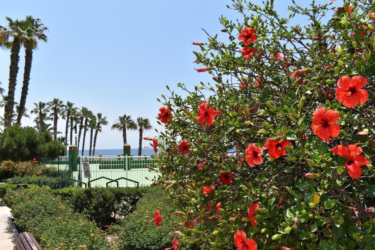 Fantastic Studio - Beachfront Lejlighed Torrox Eksteriør billede